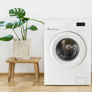 Why is my washing machine smelly?